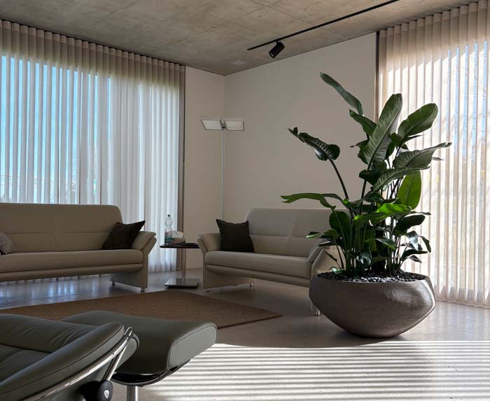 Belebte Räume - Strelitzia in Ateliervierkant Schale