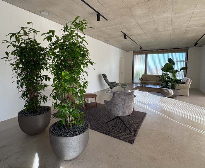 Praxis für Psychotherapie Knecht - für ein gutes Raumklima