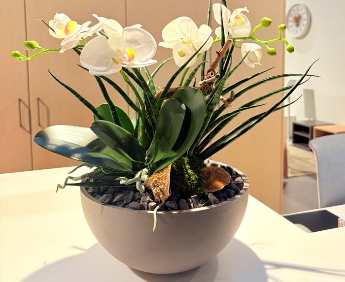 klein aber fein - Sansevieria mit Textilorchidee