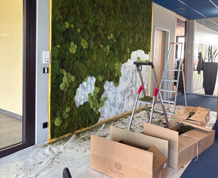 Montage Mooswand - Stück für Stück