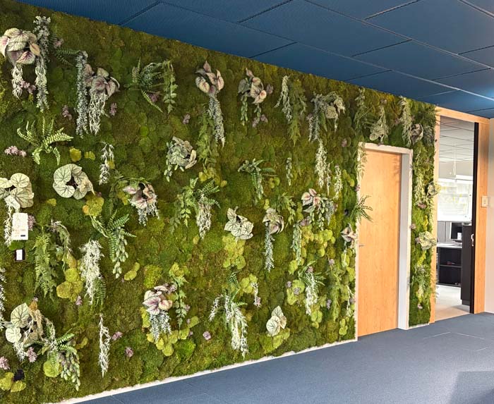 Mooswand - Grün das wirkt!