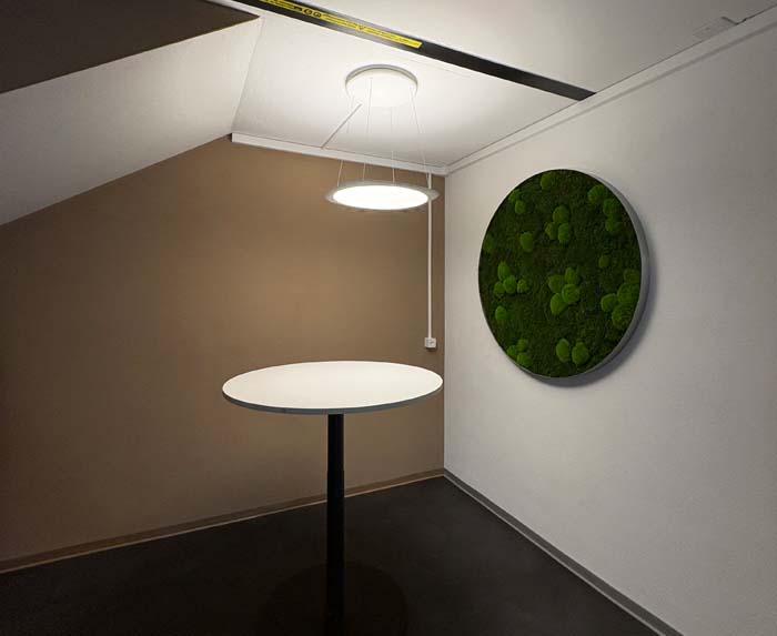 Runde Formen - mumifiziertes Moosbild in verschiedenen Grössen