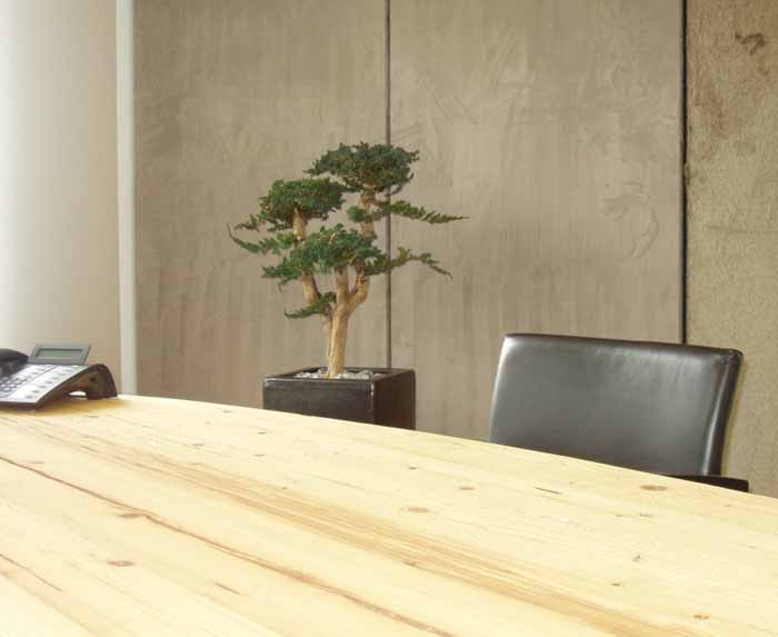 Wacholderbonsai - Die Juniperus Kissen werden floristisch als Bonsai gestaltet