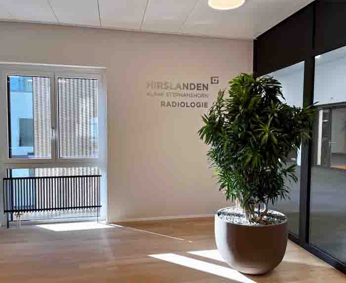 Hirslanden Klinik - Die Dracaena im Atelier Vierkant präsentiert sich wunderbar im Empfang