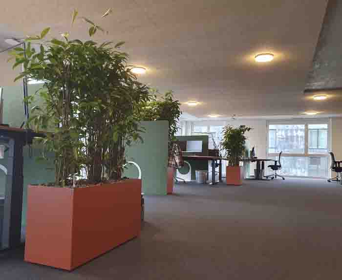 RAV Heerbrugg - Der Grüne Raumtrenner grenzt die Arbeitsplätze ab