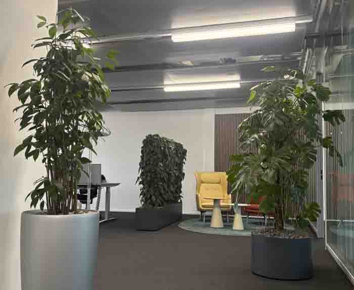 Iso-Center - Iso-Center elegant begrünt