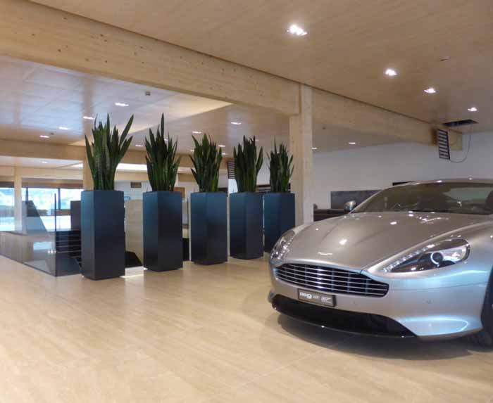 Aston Martin - Mobile Begrünung des Showrooms