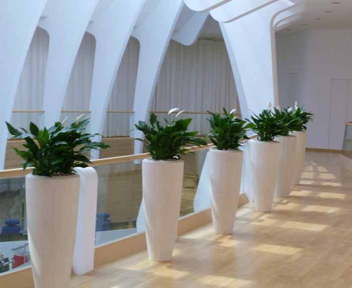 Notrufzentrale St. Gallen - Gezielte Unterstützung der Architektur mit Polystone Vase natur und Spathiphyllum wallisii