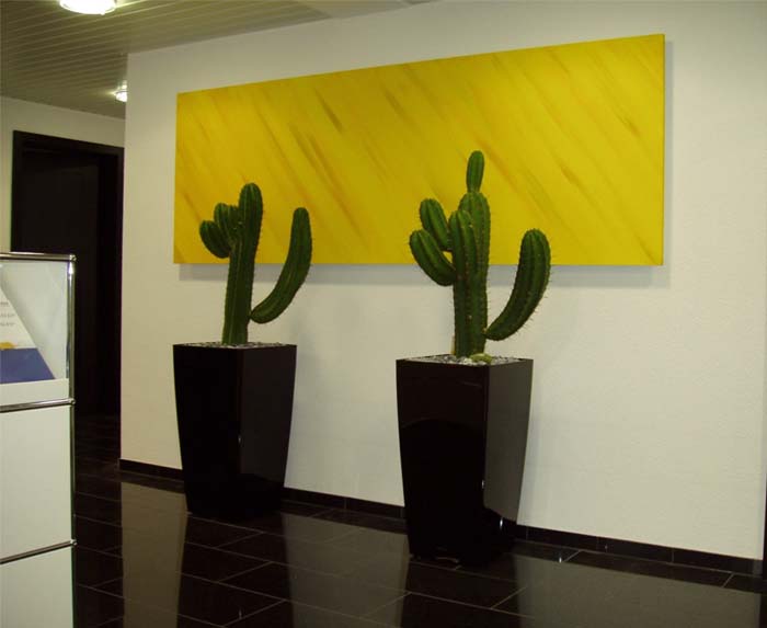 Stieger Software AG - Natur und Kunst, eine Art Wüste im Büro