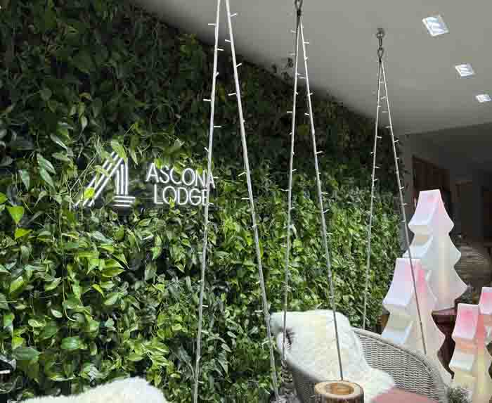 Ascona Lodge - Durch die automatisierte Bewässerung ist die Pflege auf ein minimum reduziert