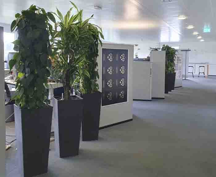 GUS - Die Pflanzen bringen Farbe in das Grossraumbüro