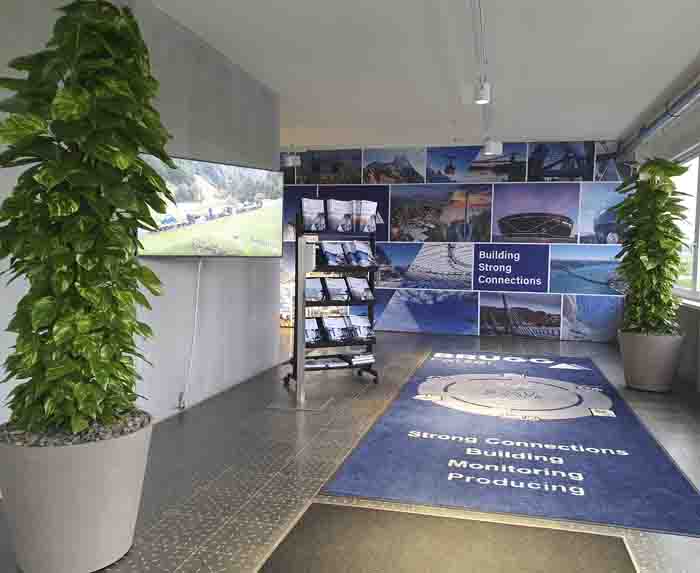 Fatzer AG - Die grossen Epipremnum Säulen