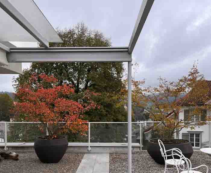 Farbenfroh - ist die Herbstfärbung der beiden Bäume