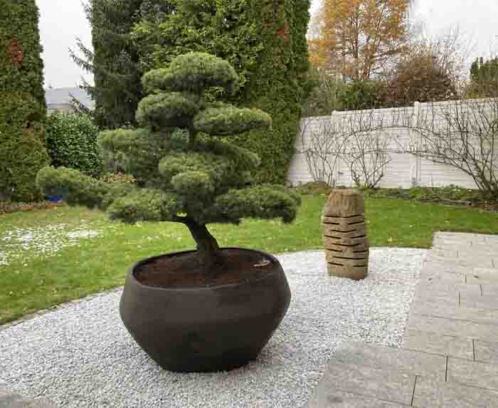 Japanisch - War die Vorgabe welche passend erfüllt wurde