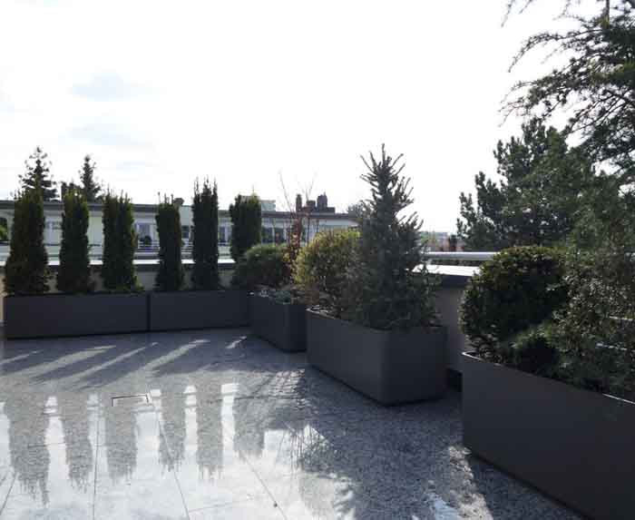 Terrasse 14 nachher - Eternit Gefässe mit einer gemischten Bepflanzung aus Sichtschutz, Laub- und Nadelgehölzen