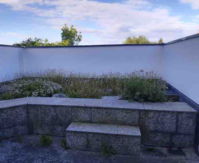 Terrasse 20 vorher - Die bestehende Bepflanzung wirkt ungepflegt und verwachsen