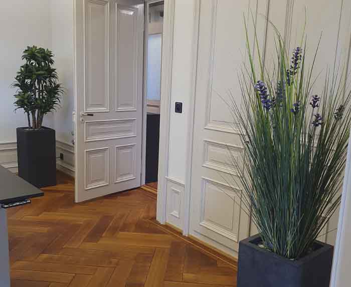 Textilgras - Textilgras und Drachenbaum täuschend echt