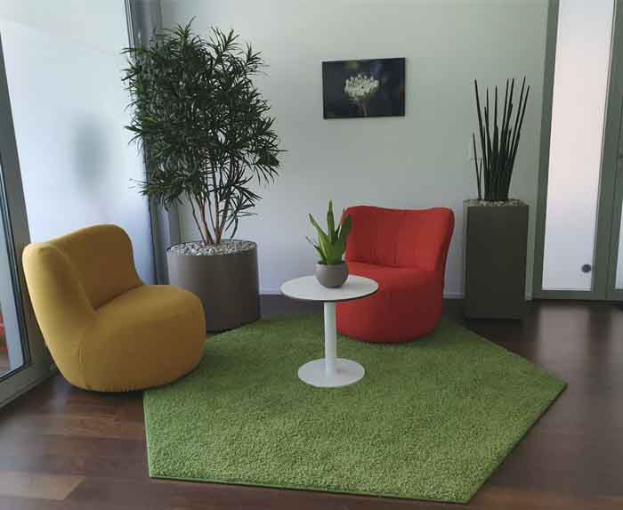 Textilpflanzen - Textilpflanzen für einen dunklen Standort