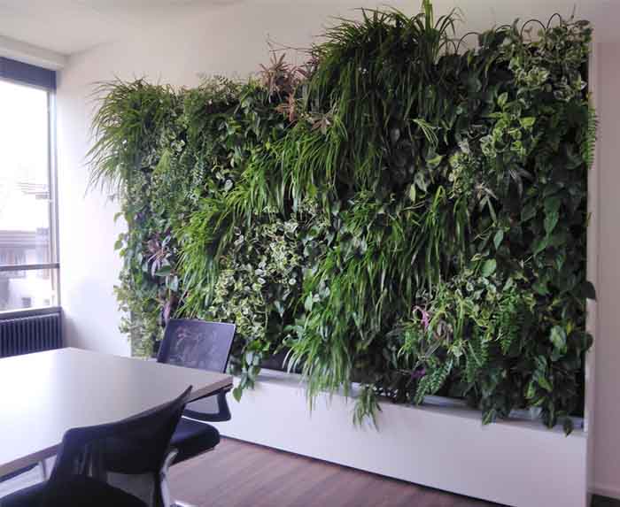 YMC AG - Grüne Wand - schafft Atmosphäre und optimale Raumbedingungen