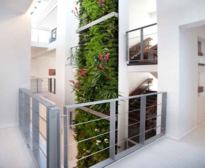 Der grüne Lift - Vom Keller bis zum Dach streckt sich die Grüne Wand wie ein Lift