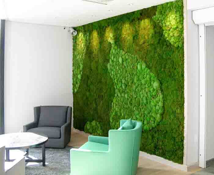 Stabilisiertes Moos - Mit mumifiziertem Moss lassen sich Wände auch ohne natürliches Licht begrünen